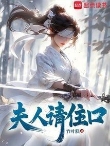 夫人请住手百科