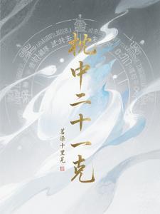 二十一克有限公司
