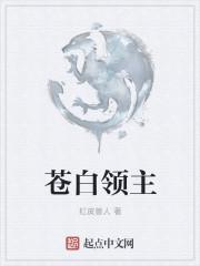 hollow knight苍白之王