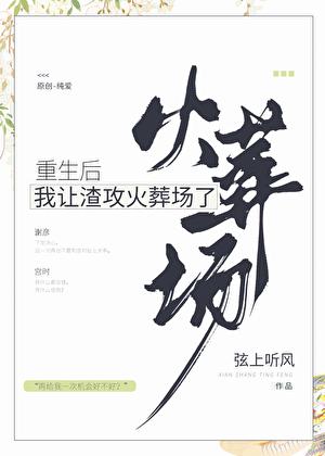 重生后我让渣攻火葬场了